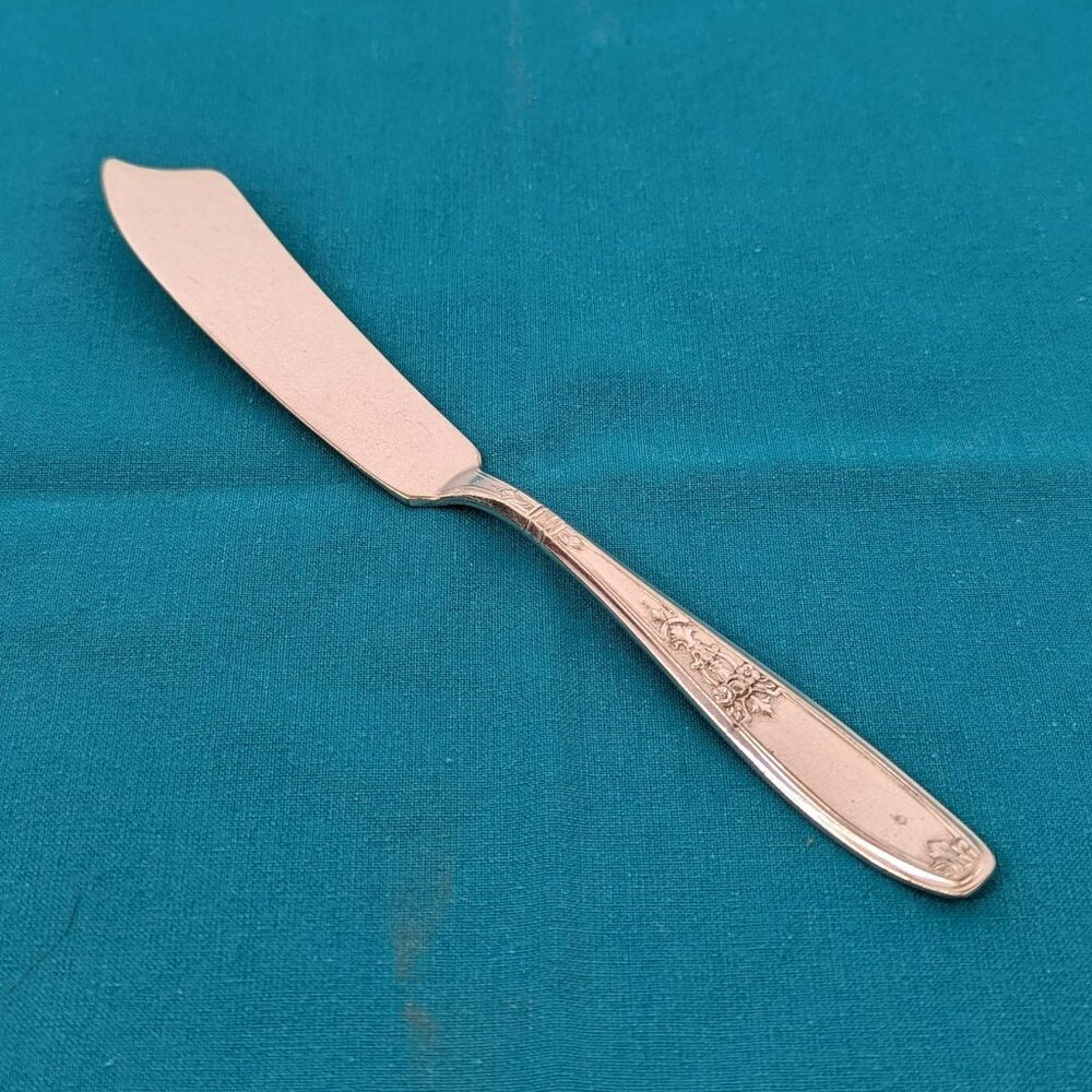 Vintage silver plated master butter spreader - International Silver Ambassador